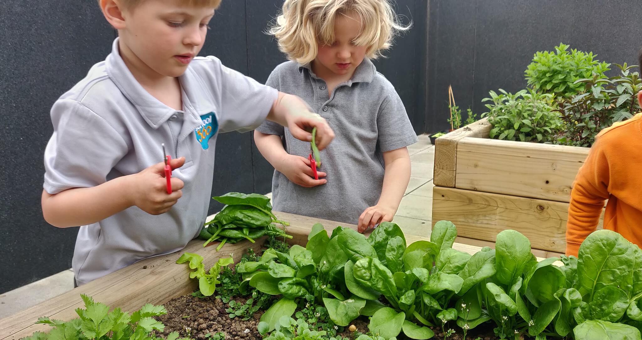 Students participating in Let's Go Zero